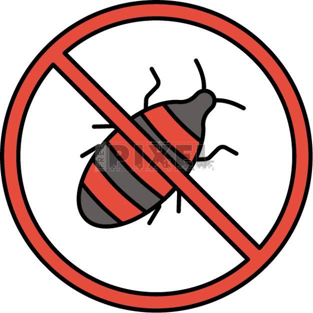 Free Icons - Stop Cockroach Icon In Gray And Orange Color. | FreePixel.com