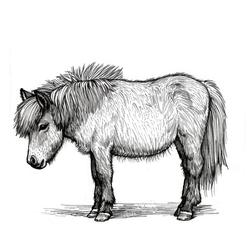 Spayed - Free Photos, Vectors, Icons, Graphics, Illustrations, 3D ...