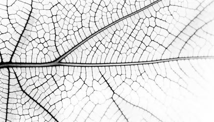 Digital Texture - Free Photos, Vectors, Icons, Graphics, Illustrations ...