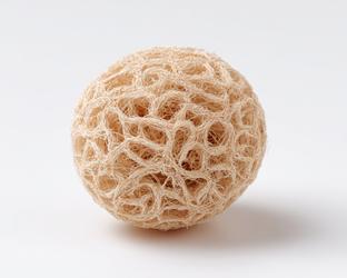 Spongy Texture - Free Photos, Vectors, Icons, Graphics, Illustrations ...