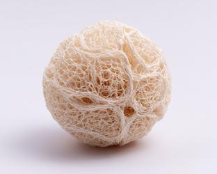 Spongy Texture - Free Photos, Vectors, Icons, Graphics, Illustrations ...