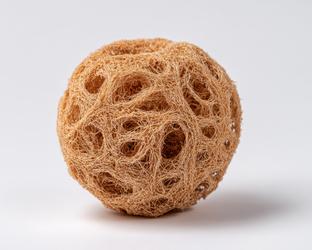 Spongy Texture - Free Photos, Vectors, Icons, Graphics, Illustrations ...