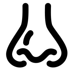 Free Svg - Nose Icon | FreePixel.com